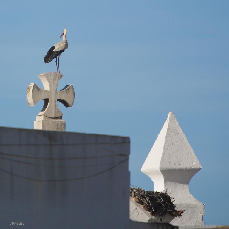 Entrecubos Guesthouse Olhão المظهر الخارجي الصورة