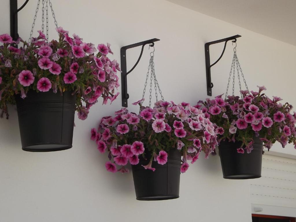 Entrecubos Guesthouse Olhão الغرفة الصورة